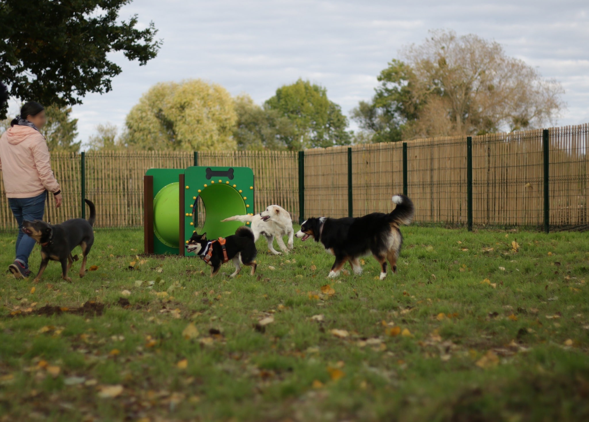 Collection Agility pour le déveoppement durable